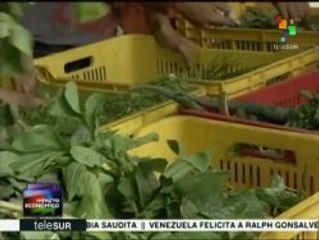 Venezuela: feria conuquera combate la guerra económica
