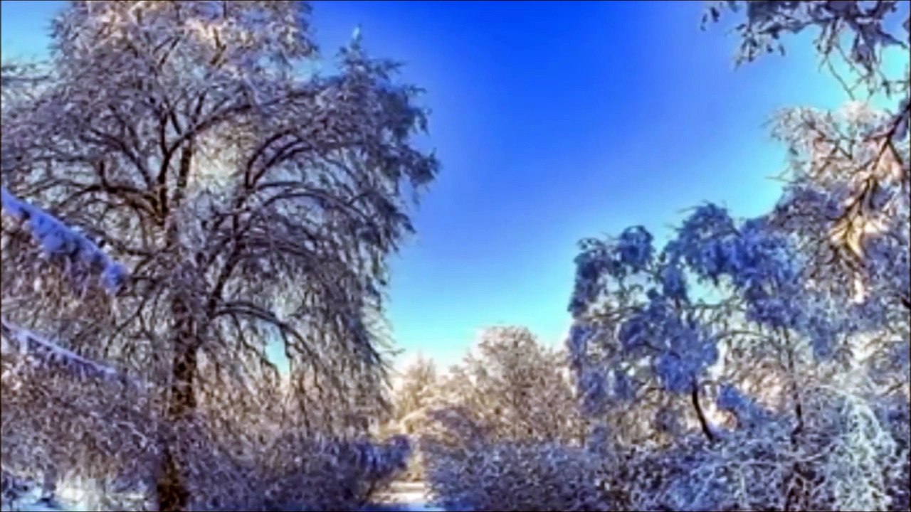 Ștefan Hrușcă - În poartă la Țărigrad ~ COLINDE ROMÂNEȘTI