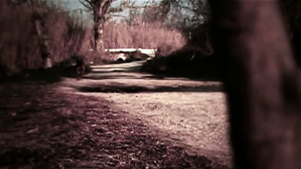 Un chien boxer qui court en slowmotion HD