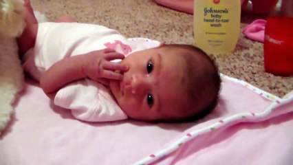 Poodle Adorably Protects Baby From Blow Dryer