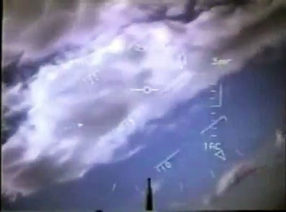 Bird causes aircraft crash