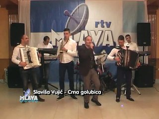 Slavisa Vujic - Crna golubice