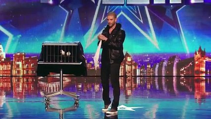 Top 5 Most Surprising Got Talent Auditions Ever - dailymotion