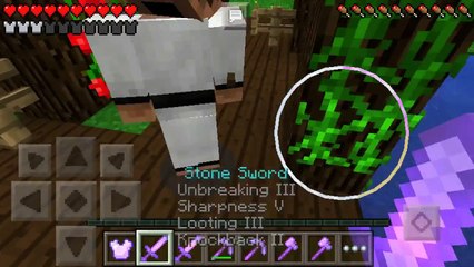 SURVIVAL SERIES♦EPISODE3♦MEETING THE WIZARD