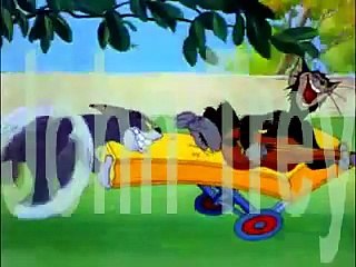 Tom And Jerry 1946 Springtime For Thomas Segment 20