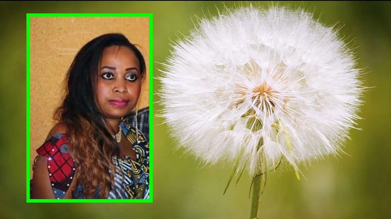 Zaza comores gounego boure