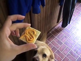 Cheese Whiz On Saltines? Coupons From When I Donated $1 To Food Bag At Giant, 3/2/13