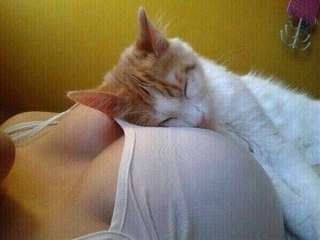 Девушка выбросилась из окна троллейбуса в Минске!!!