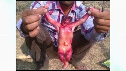 Strange Human Like Creature Found