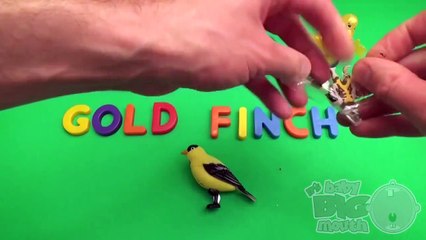 TOYS - Best of Surprise Egg Learn A Word! Spelling Birds! Teaching Letters Opening Eggs , hd online free Full 2016