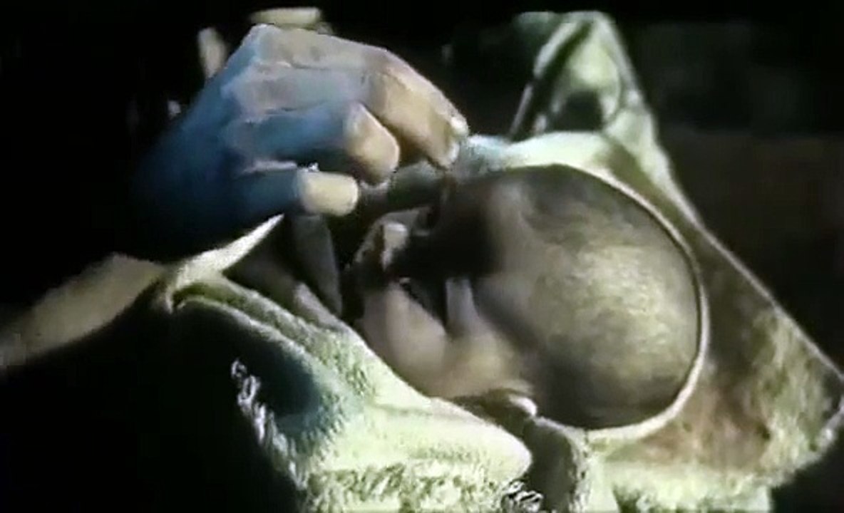 Viridzijna 1991_1