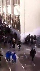 Un sanglier dans un lycée