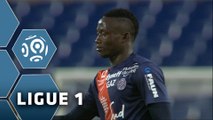 Montpellier Hérault SC - EA Guingamp (2-1)  - Résumé - (MHSC-EAG) / 2015-16