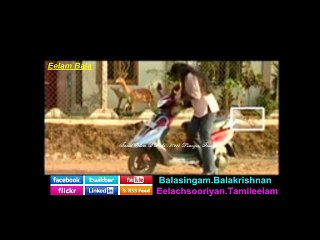 எல்லாளன் Ellaalan Ellaalan - Tamil Eelam Yaal Nallur B.Bala - 87280 Limoges, France