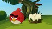 Angry Birds Toons 3 Ep. 9 Sneak Peek Age Rage”