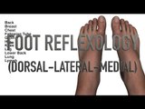 Reflexology - Dorsal, Lateral, and Medial - Quiz