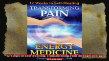 12 Steps to SelfHealing Transforming Pain through Energy Medicine