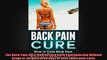 The Back Pain Cure How to Cure Back Pain Naturally Without Drugs or Surgery in 90 Days or