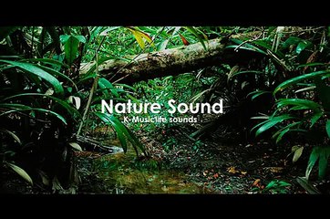 Nature Sound 3 - THE MOST RELAXING SOUNDS -