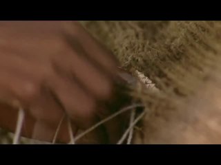 Amazonia - Isolated - Now in High Quality! (Part 6/6)