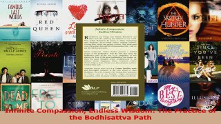 Read  Infinite Compassion Endless Wisdom The Practice of the Bodhisattva Path EBooks Online
