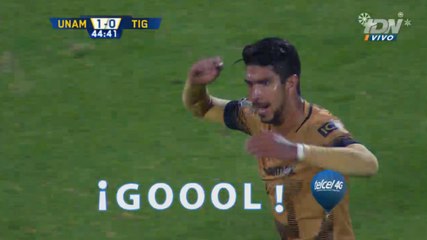 GOL Eduardo Herrera - PUMAS VS TIGRES 1-0 GOL FINAL VUELTA Liga MX Apertura 2015 [HD]