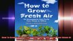 How To Grow Fresh Air 50 Houseplants That Purify Your Home Or Office 50 Houseplants That