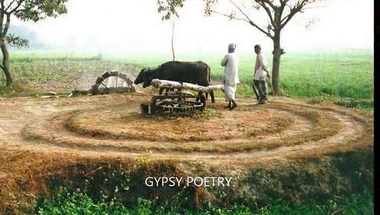 Veerana by Gypsy