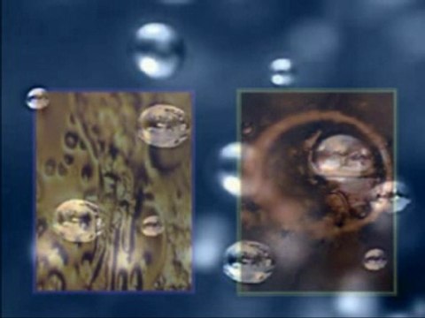 a traves de esta investigacion se comprobo que podemos tranamitirlos mensajes en el agua los efectos que pueden tener en el cuerpo humano.