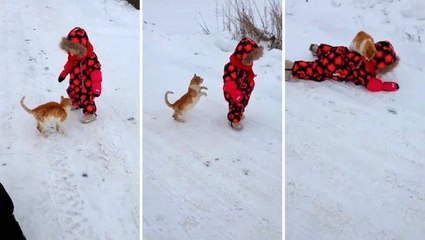 Kedi Küçük Çocuğu Yere Serdi