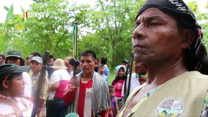 Esta es mi tierra - Locomotora minera en Colombia