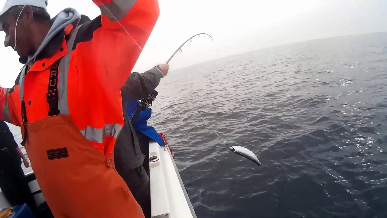 Silure Club Rhodanien : Journée pêche au thon Vidéo 9