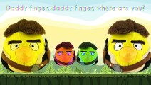 Angry Birds Cartoon Animation Finger Family Nursery Rhymes For Kids | Finger Family Nurser