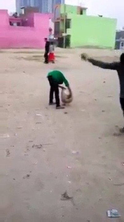 best funny clip