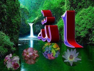 تلاوة رائعة للدوسري