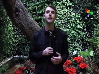 Mexico: Dissident Teachers Lament Govt's Refusal to Dialogue