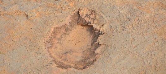 Dinozorların ayak izleri bulundu