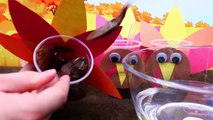 THANKSGIVING SURPRISE TOYS! Turkey Surprise Chocolate Pudding + McDonalds, Shopkins, Elsa