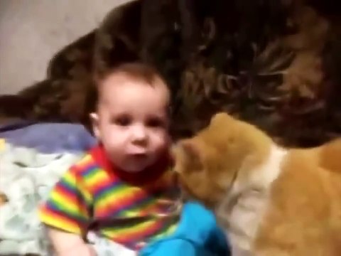 Кот заставляет спать ребенка