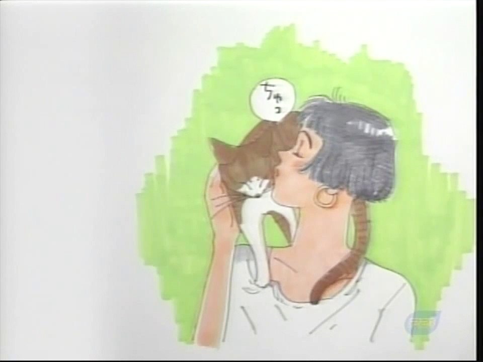 【やっぱり猫が好き】【真夏の夜の大運動会】1989年8月8日放送