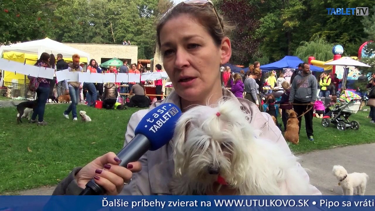 Množitelia sú stále problémom: Keby sučky vedeli rozprávať...