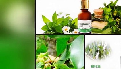 Reference Materials, Phytochemicals, Reference Standards