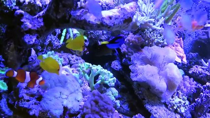 IT FINALLY HAPPENED!!