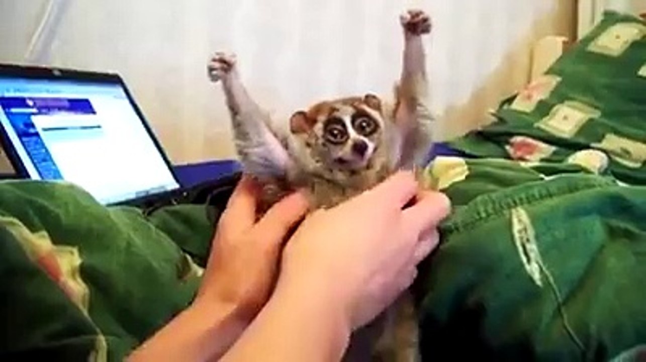 Sooo cuteeeeee