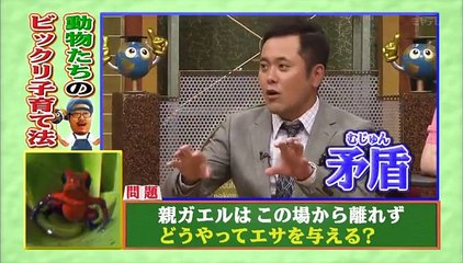 一界世受たけい業授 20130907