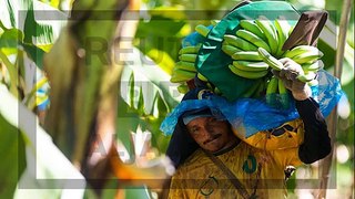 Why Brazil has a big appetite for risky pesticides