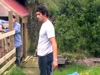 Calming Signals - Top Dog Training Tip 4 - 2015