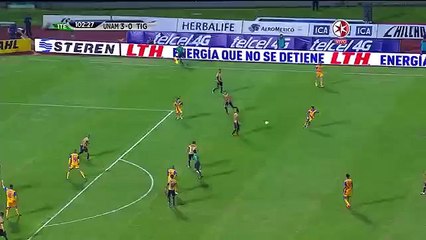 Andre-Pierre Gignac marque encore et devient champion du Mexique