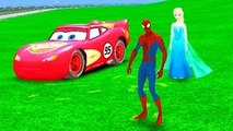 Spiderman Disney Cars Frozen Elsa Lightning Flash McQueen, and Pixar Nursery Rhymes for Ch