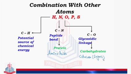 Structures by Carbon Family , Organic Molecules